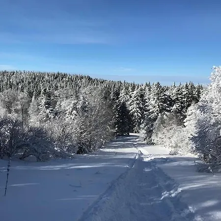 Mont-dore, 2 Pièces, 4 Personnes - Fr-1-608-89 *