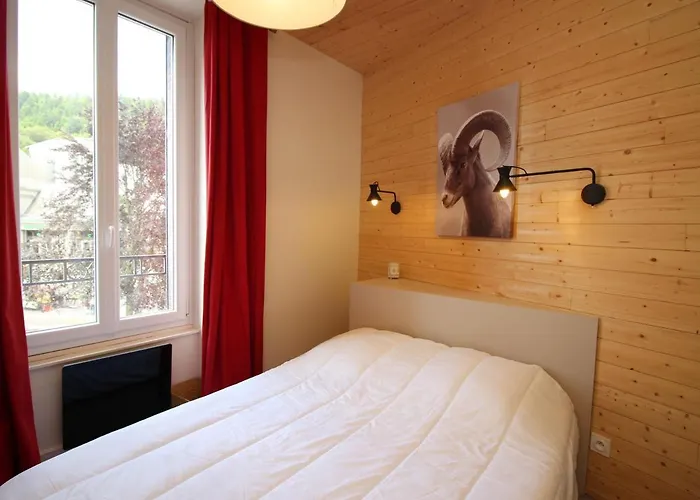 Apartment Agreable T2 Bis Au Mont-dore, Accepte Animaux, Vue Superbe, Hyper-centre - Fr-1-608-89 *