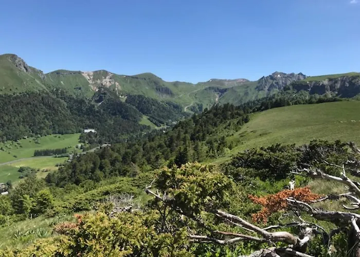 Agreable T2 Bis Au Mont-dore, Accepte Animaux, Vue Superbe, Hyper-centre - Fr-1-608-89 Apartment