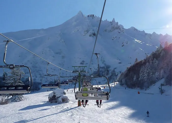 Agreable T2 Bis Au Mont-dore, Accepte Animaux, Vue Superbe, Hyper-centre - Fr-1-608-89 Le Mont-Dore