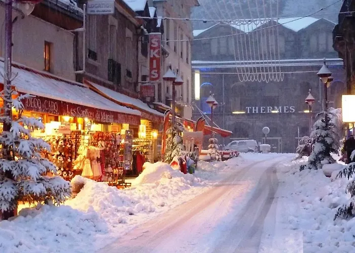 Apartment Agreable T2 Bis Au Mont-dore, Accepte Animaux, Vue Superbe, Hyper-centre - Fr-1-608-89 Le Mont-Dore