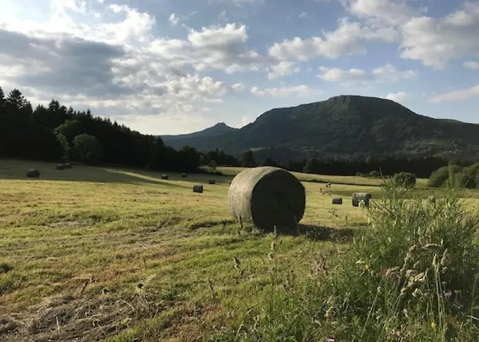 Agreable T2 Bis Au Mont-dore, Accepte Animaux, Vue Superbe, Hyper-centre - Fr-1-608-89 * Le Mont-Dore