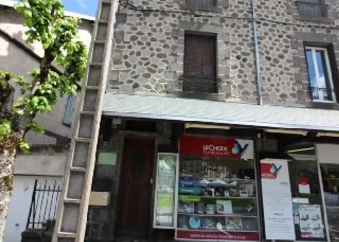 Agreable T2 Bis Au Mont-dore, Accepte Animaux, Vue Superbe, Hyper-centre - Fr-1-608-89 Apartment *